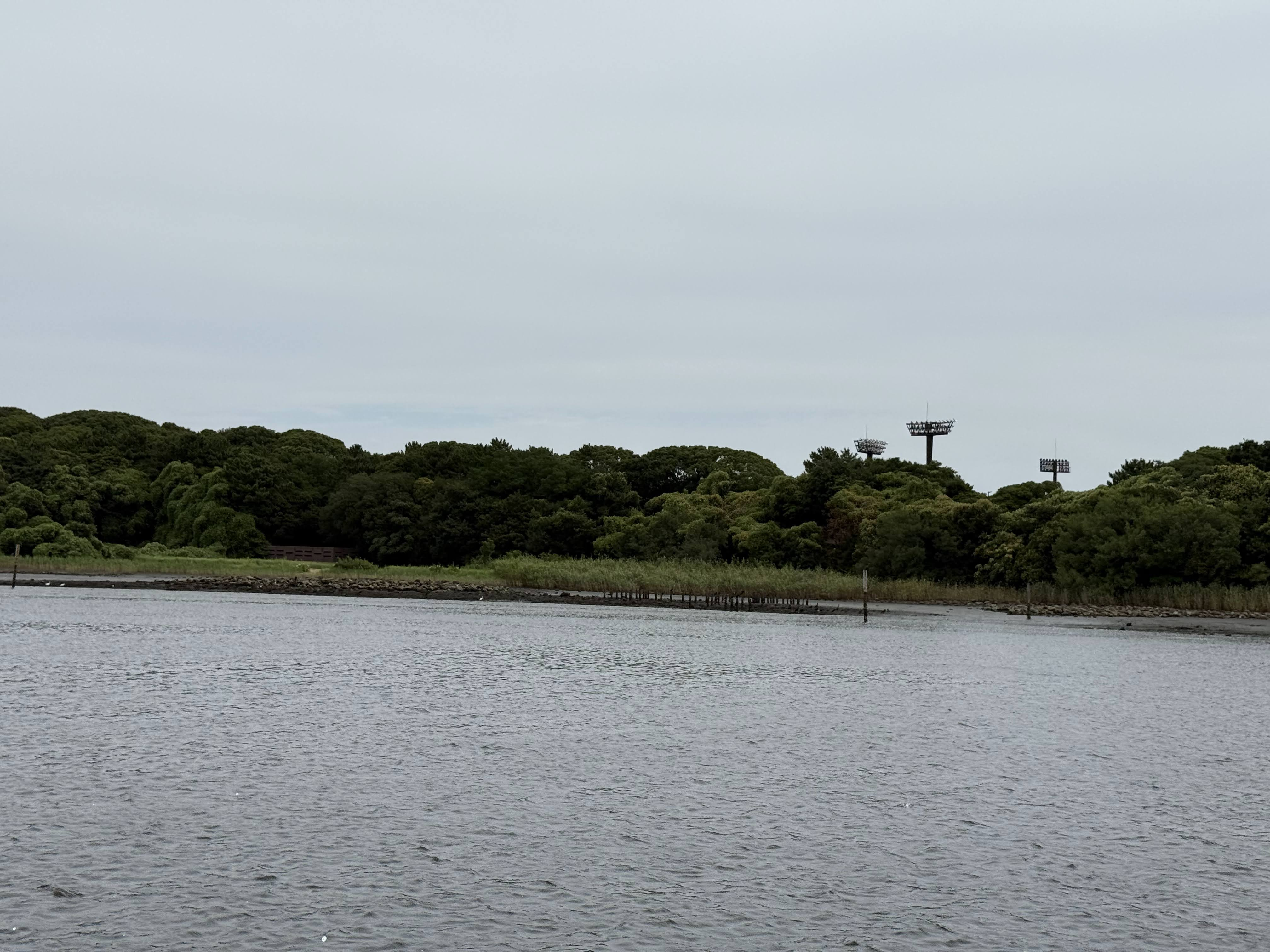 Cruise Image 10